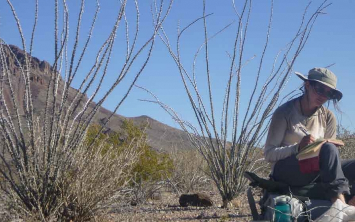 a student writes in their journal amidst a desert landscape